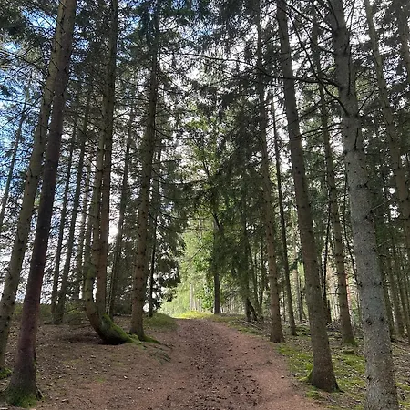 Dom wakacyjny Nordheideblockhaus Asendorf (Harburg)
