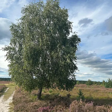 Dom wakacyjny Nordheideblockhaus Asendorf (Harburg)